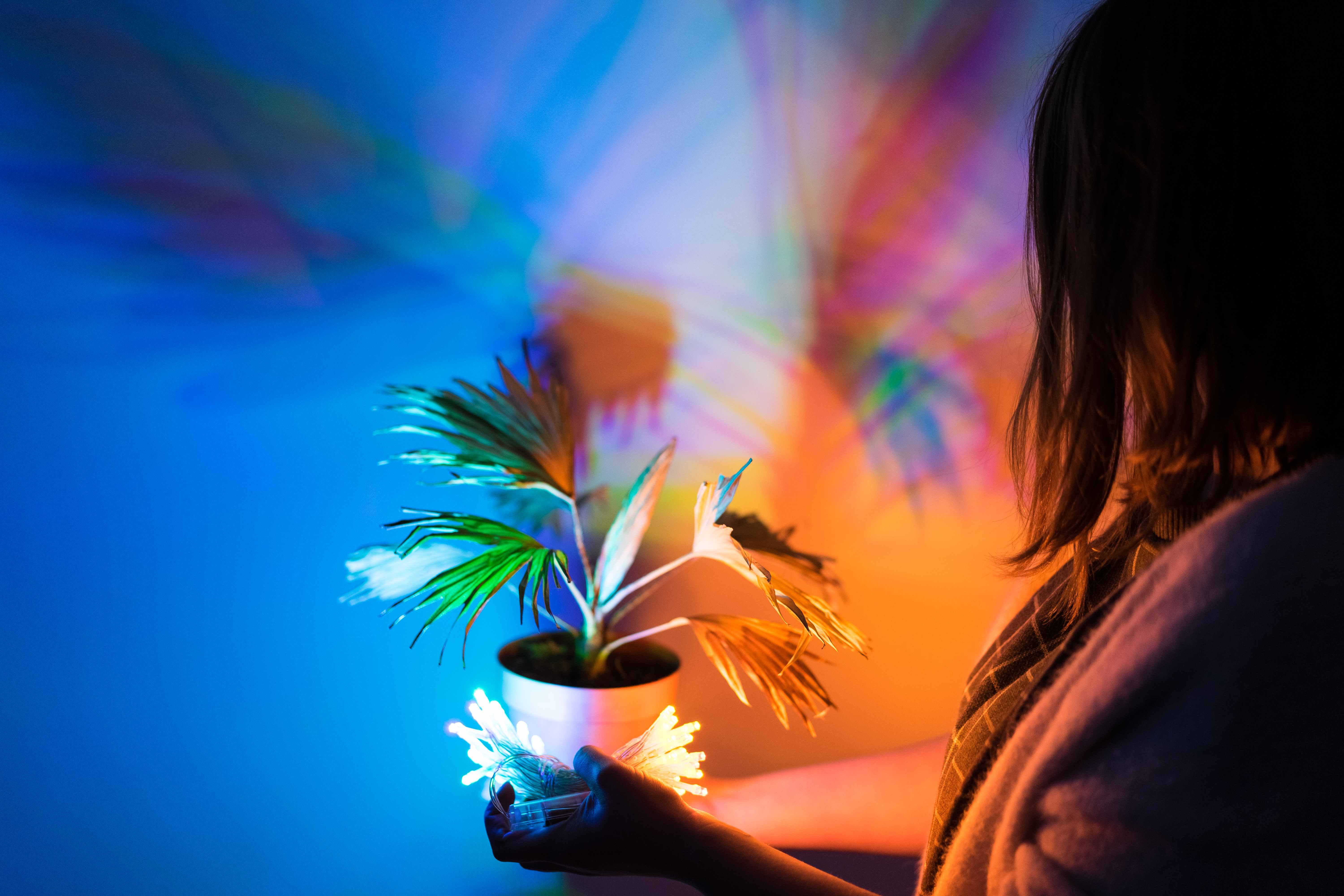 Чек-лист: Как научиться видеть и передавать свет и цвет